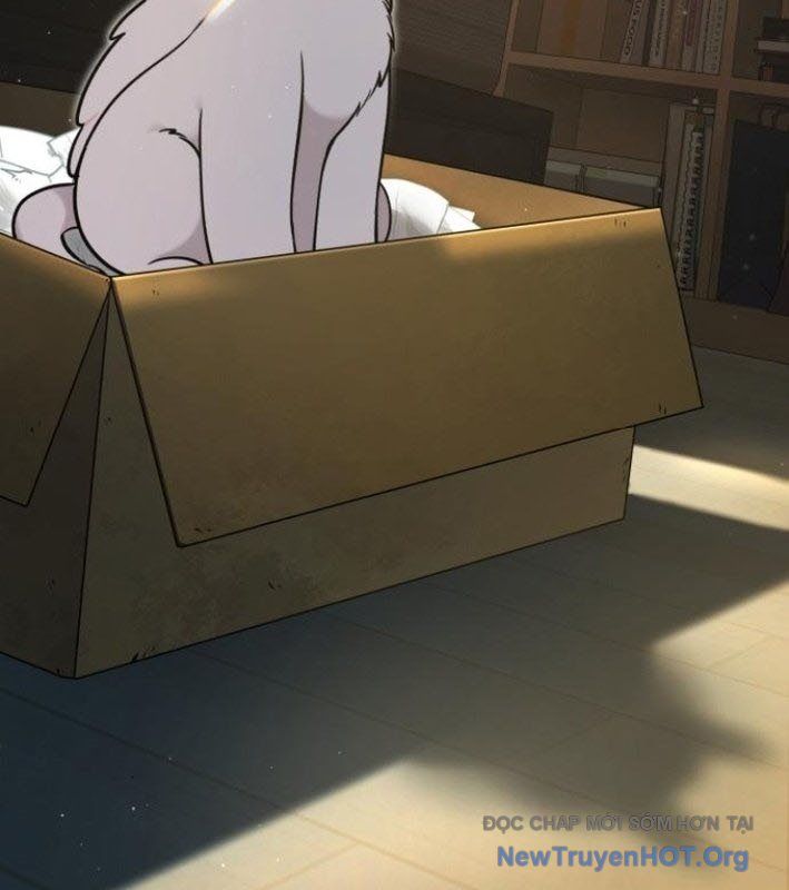 Chào Nhé, Griffin Mắt Tròn! Chap 8 - Next Chap 9