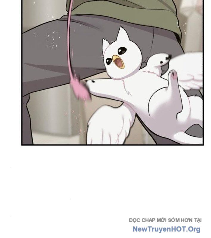 Chào Nhé, Griffin Mắt Tròn! Chap 8 - Next Chap 9