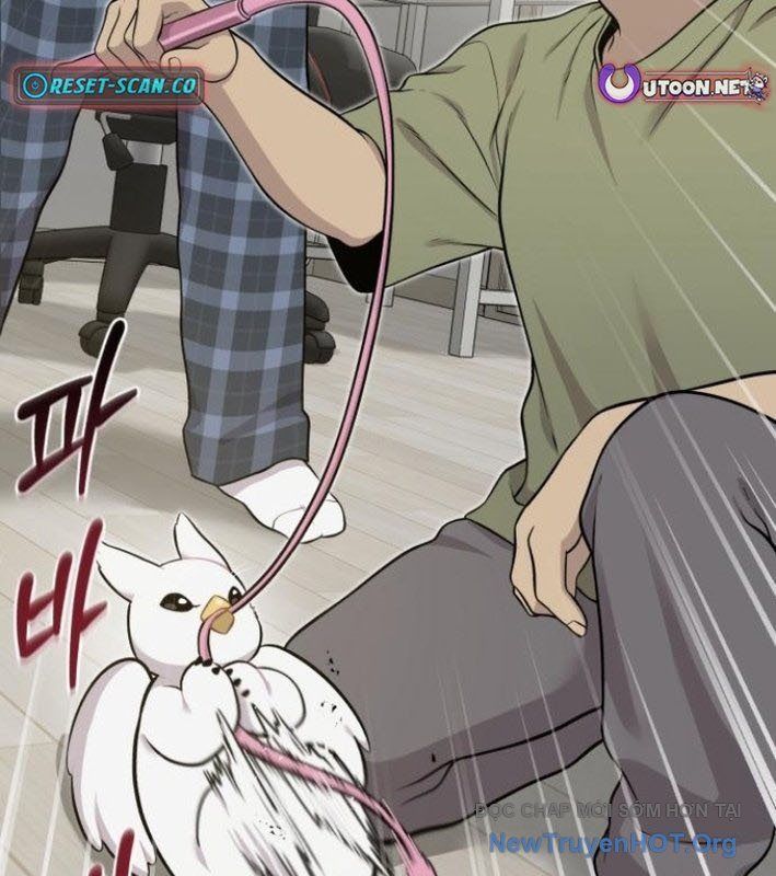 Chào Nhé, Griffin Mắt Tròn! Chap 8 - Next Chap 9