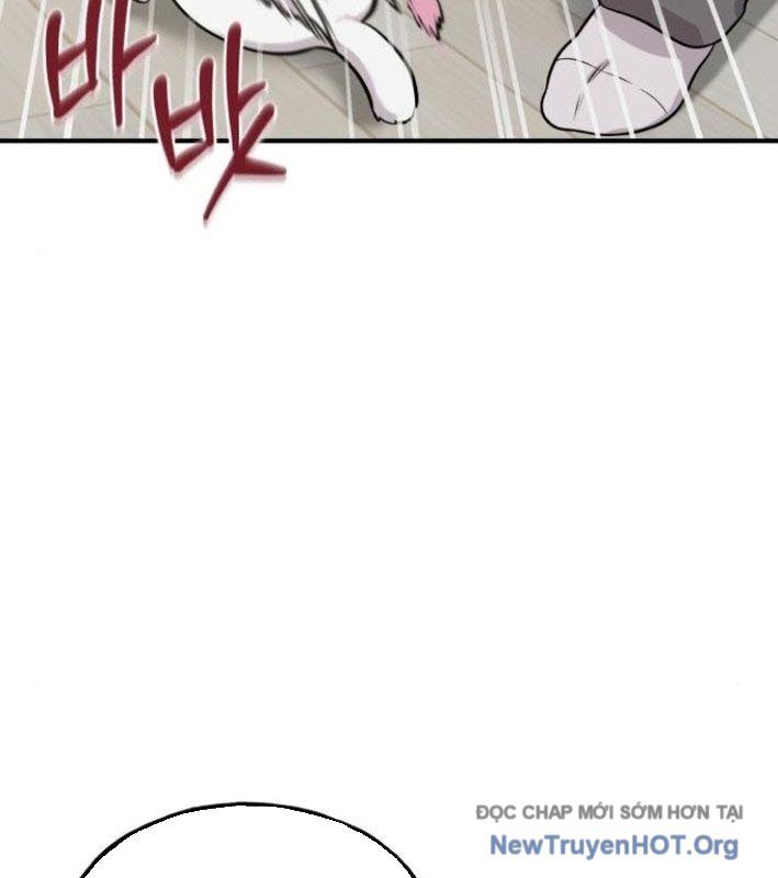 Chào Nhé, Griffin Mắt Tròn! Chap 8 - Next Chap 9