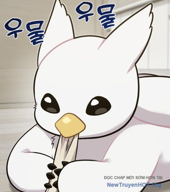 Chào Nhé, Griffin Mắt Tròn! Chap 8 - Next Chap 9