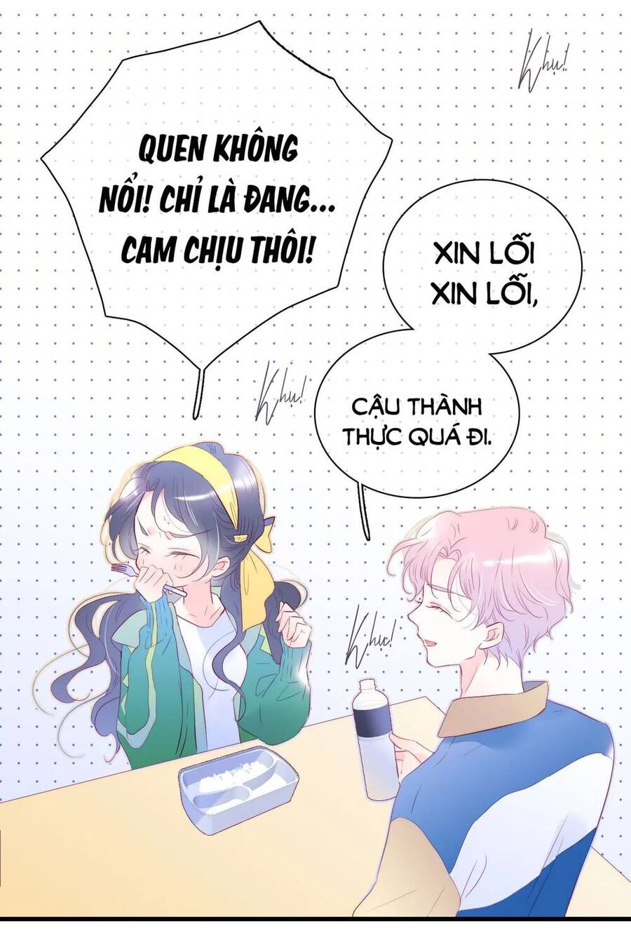 Chạy Trốn Cùng Con Nhím Chap 35 - Next Chap 36