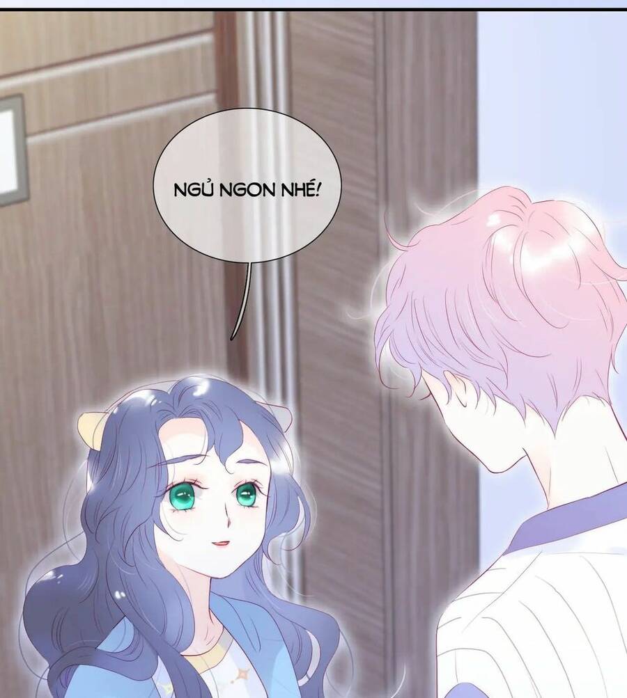 Chạy Trốn Cùng Con Nhím Chap 67 - Next Chap 68