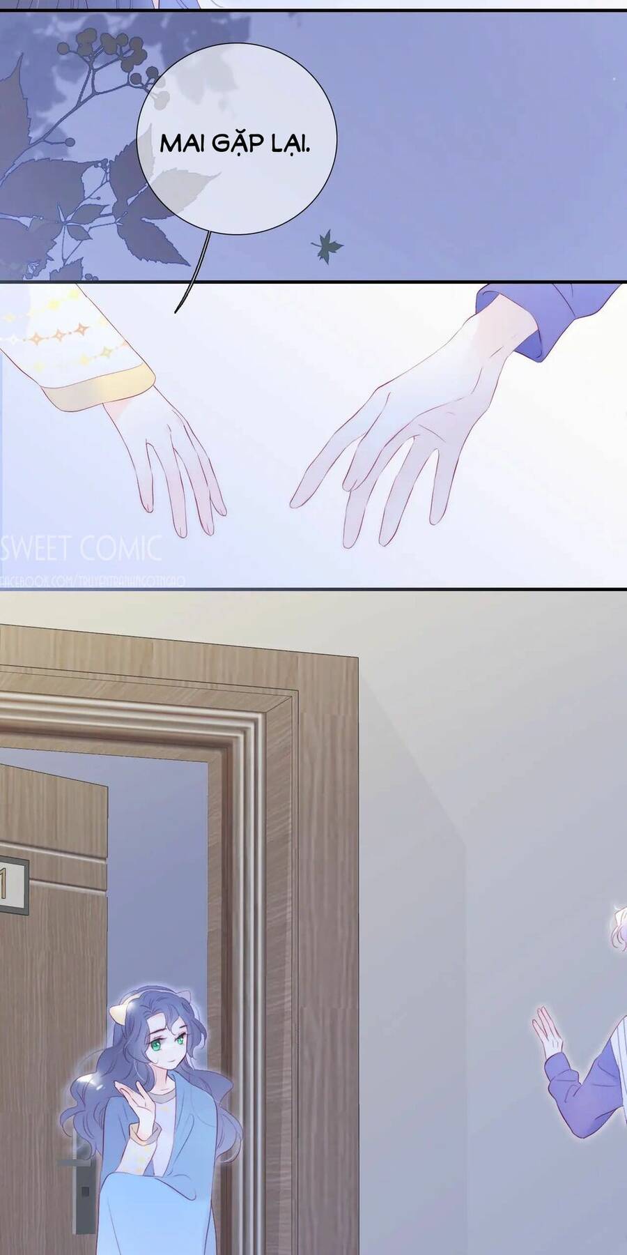 Chạy Trốn Cùng Con Nhím Chap 67 - Next Chap 68