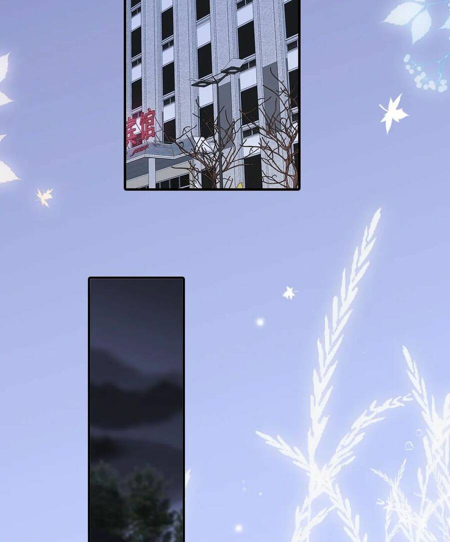 Chạy Trốn Cùng Con Nhím Chap 67 - Next Chap 68