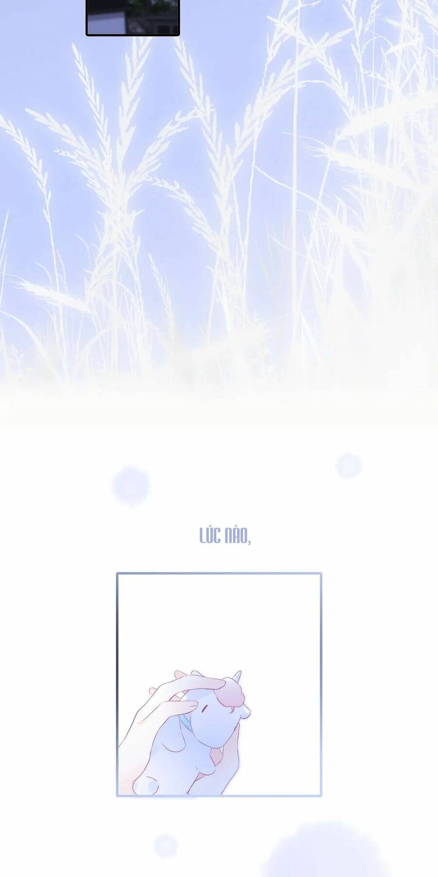 Chạy Trốn Cùng Con Nhím Chap 67 - Next Chap 68