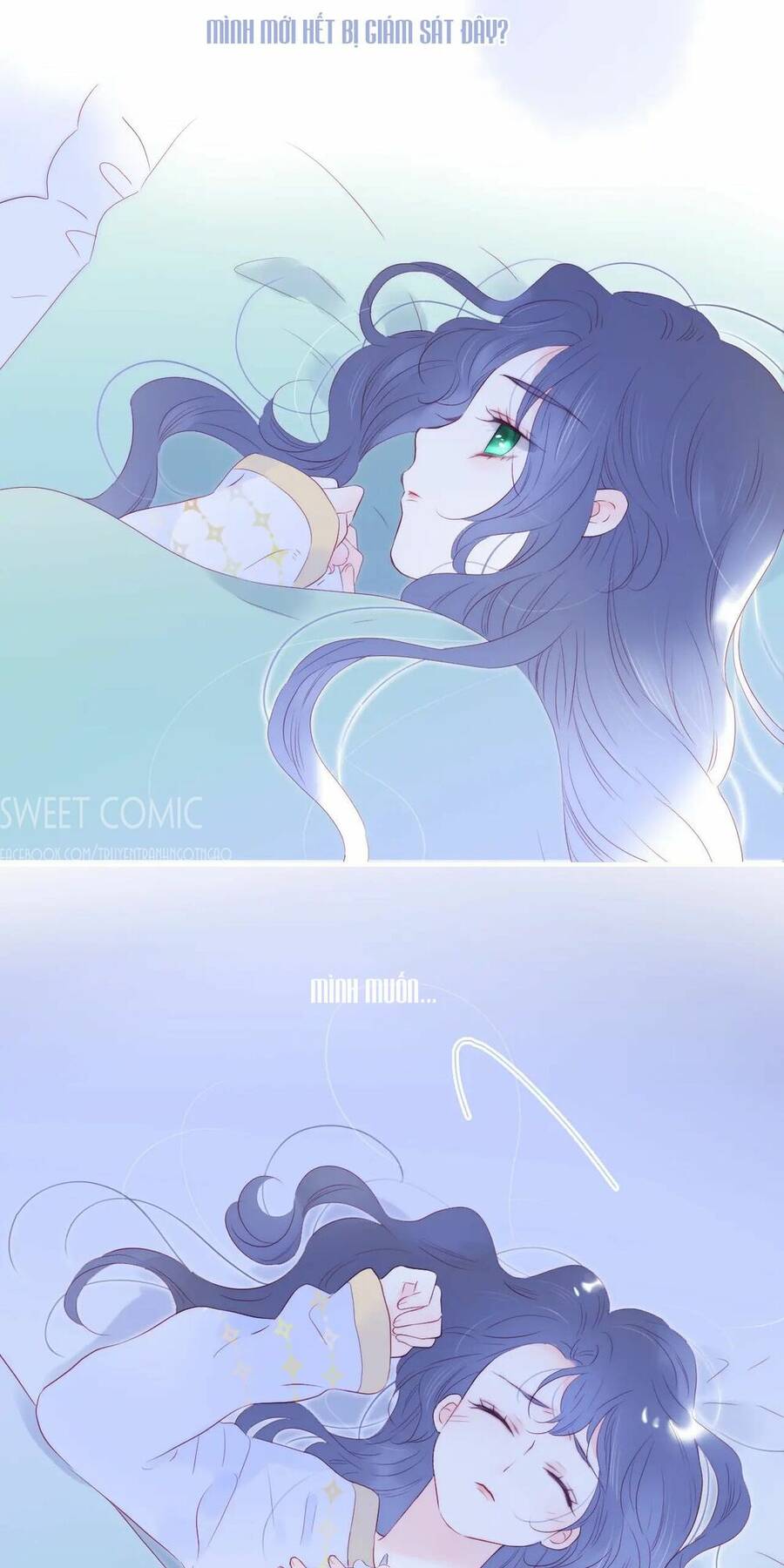 Chạy Trốn Cùng Con Nhím Chap 67 - Next Chap 68