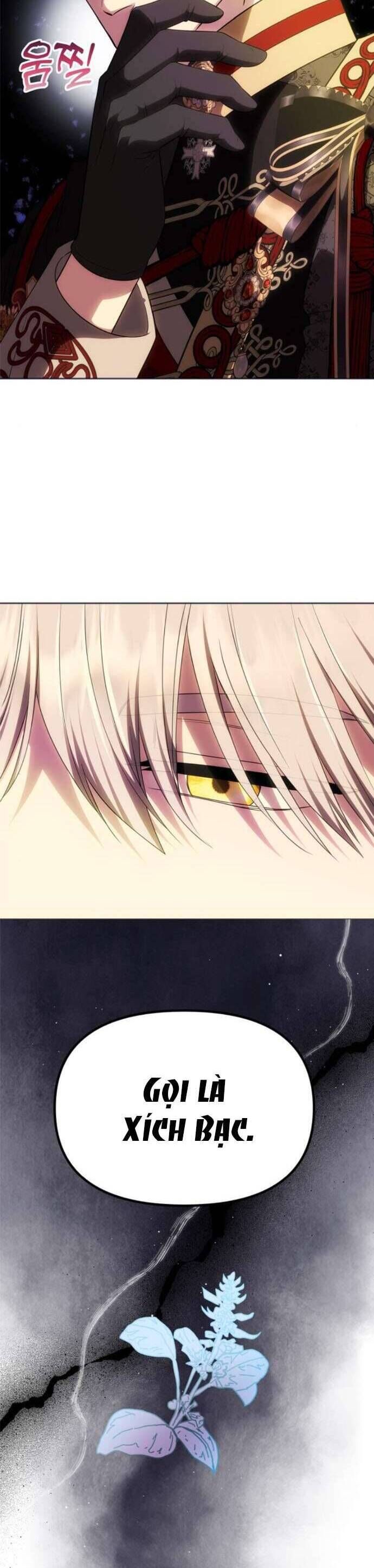 Chỉ Cần Một Người Chồng Là Đủ Chap 49 - Next Chap 50