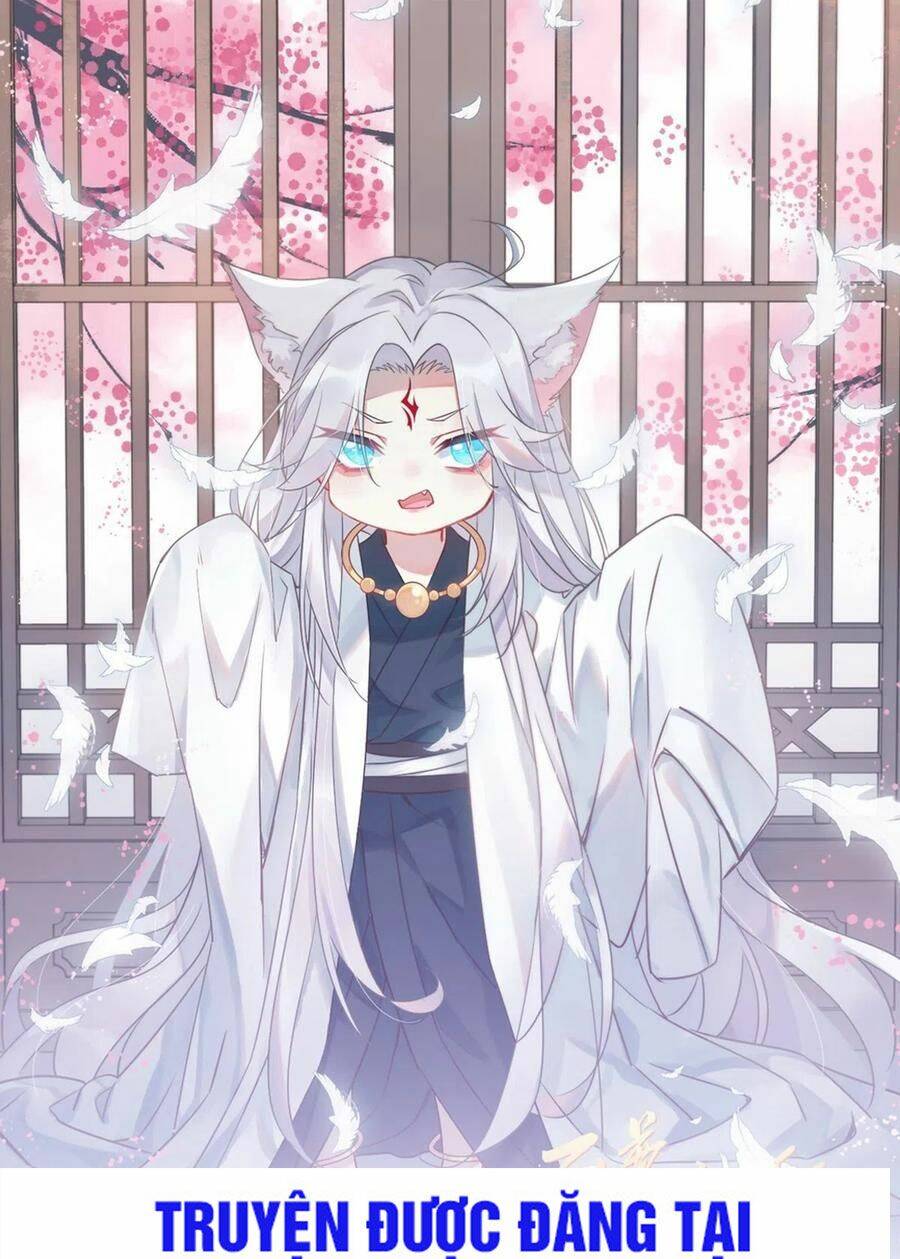 Chi Tôn Đồng Thuật Sư: Tuyệt Thế Đại Tiểu Thư Chap 199 - Next Chap 200