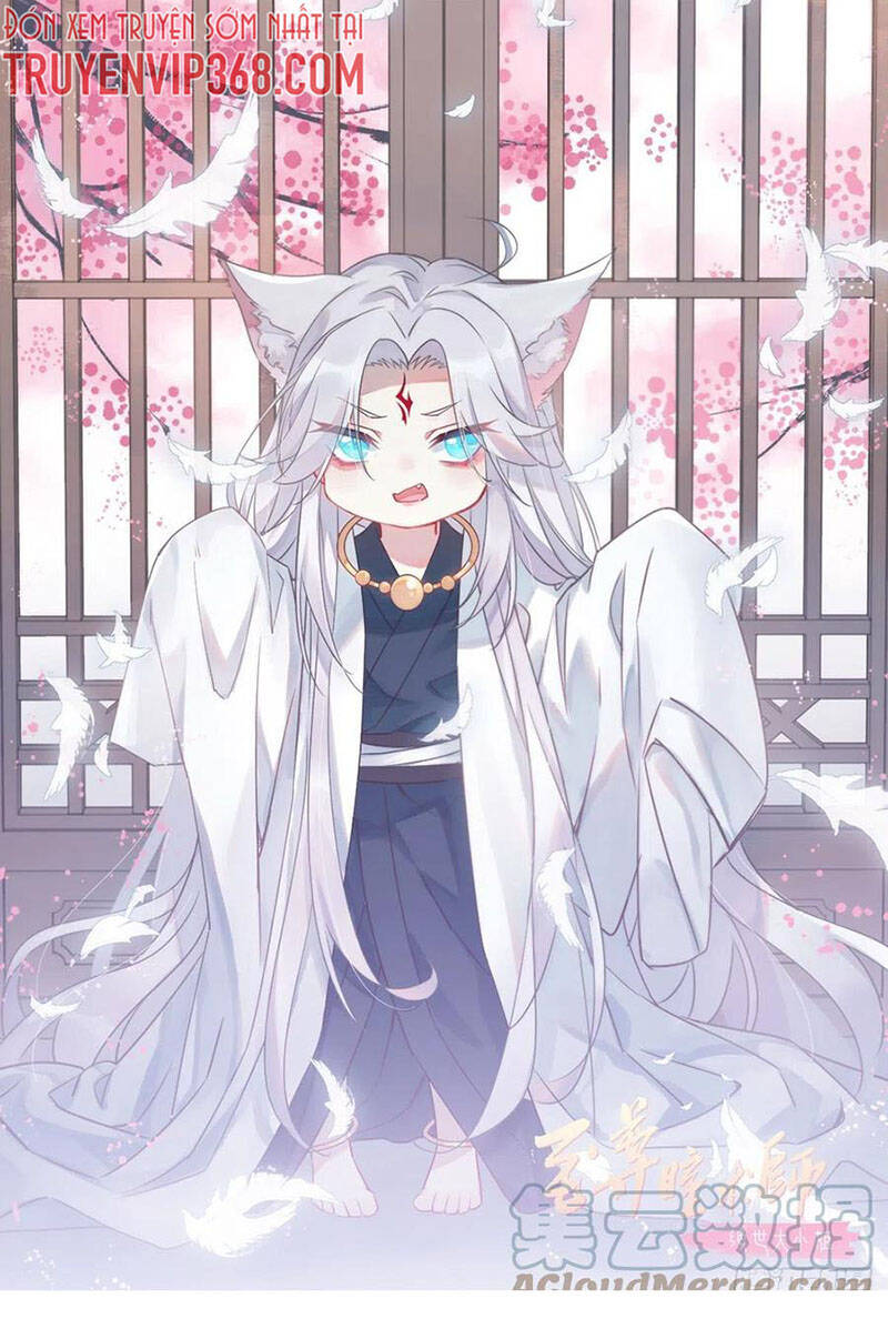 Chi Tôn Đồng Thuật Sư: Tuyệt Thế Đại Tiểu Thư Chap 283 - Next Chap 284
