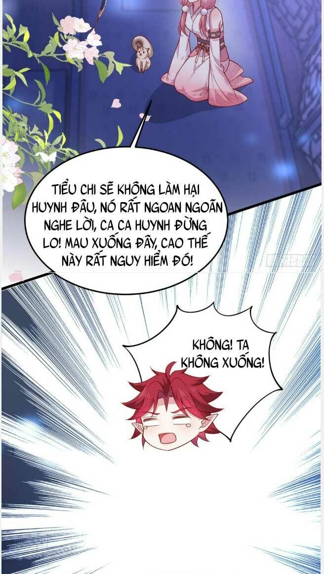 Chi Tôn Đồng Thuật Sư: Tuyệt Thế Đại Tiểu Thư Chap 354 - Next Chap 355