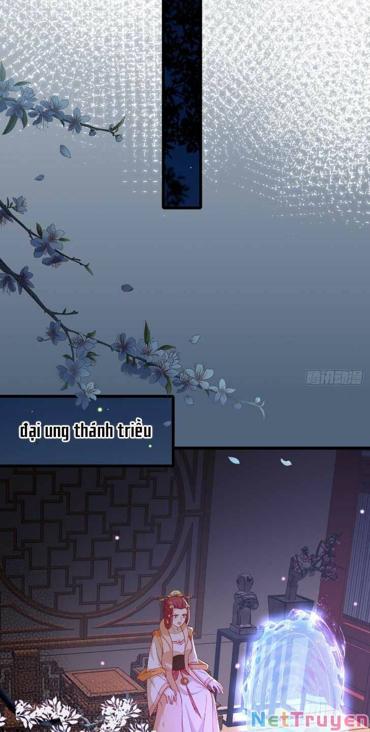 Chi Tôn Đồng Thuật Sư: Tuyệt Thế Đại Tiểu Thư Chap 356 - Next Chap 357