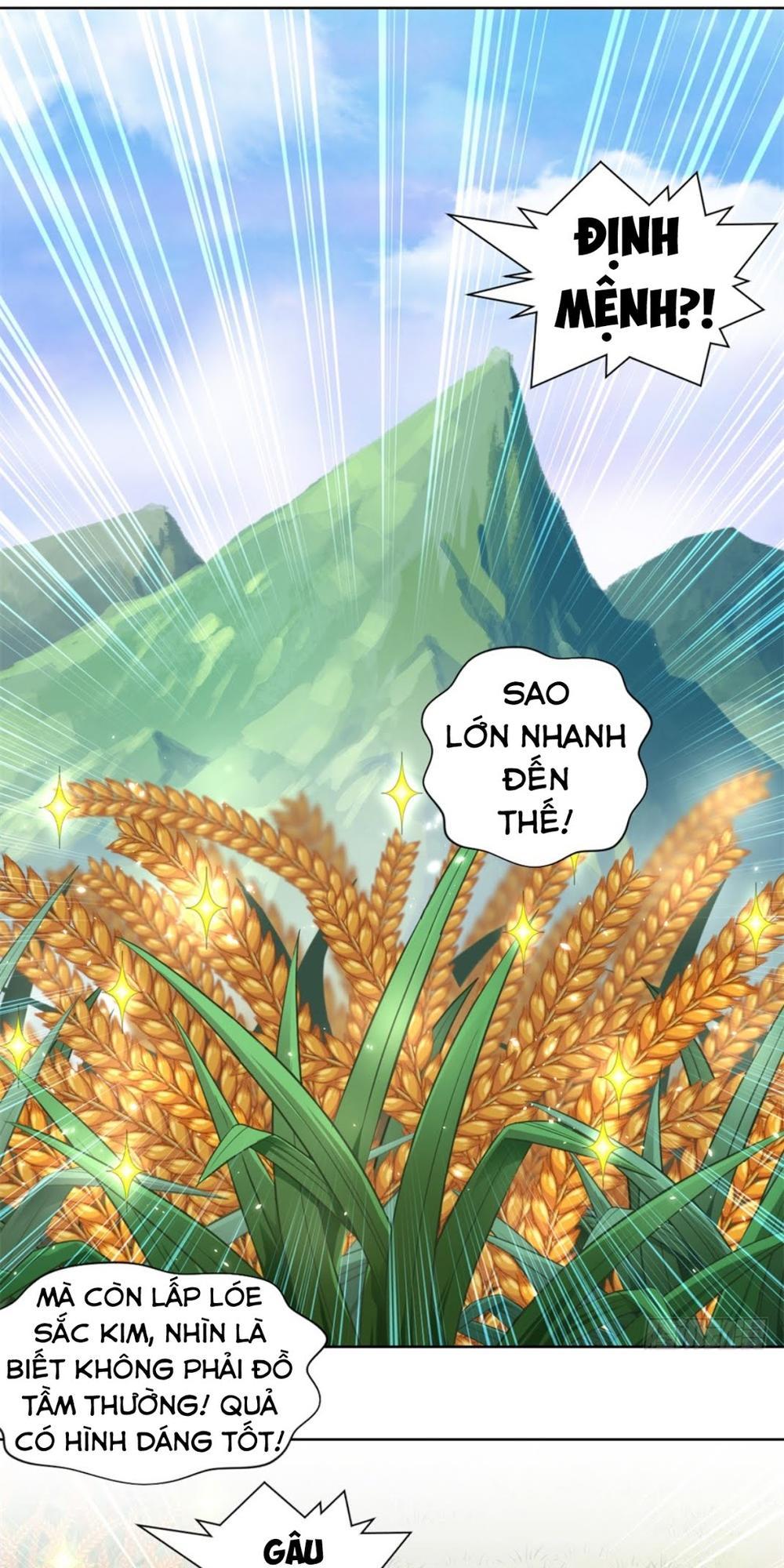 Chiếm Cái Đỉnh Núi Làm Đại Vương Chap 2 - Next Chap 3