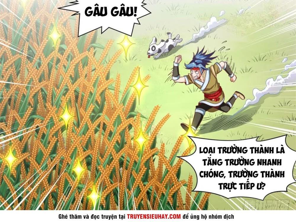 Chiếm Cái Đỉnh Núi Làm Đại Vương Chap 2 - Next Chap 3