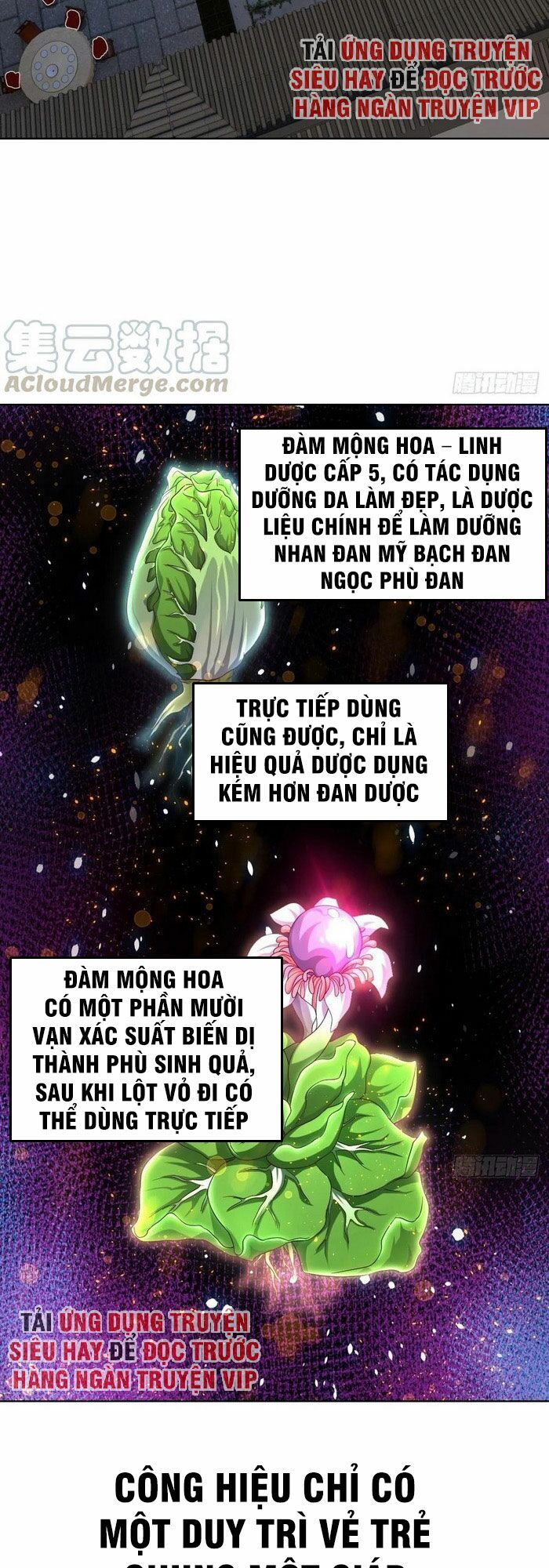 Chiếm Cái Đỉnh Núi Làm Đại Vương Chap 93 - Next Chap 94
