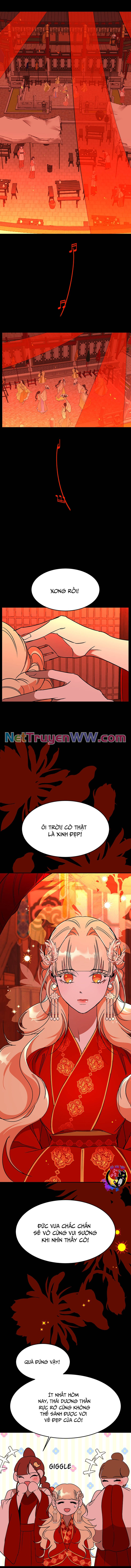 Chiến Lược Săn Hổ Của Nữ Thần Chap 58 - Next Chap 59