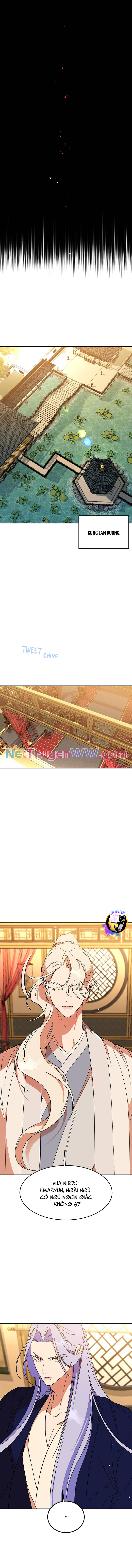 Chiến Lược Săn Hổ Của Nữ Thần Chap 58 - Next Chap 59
