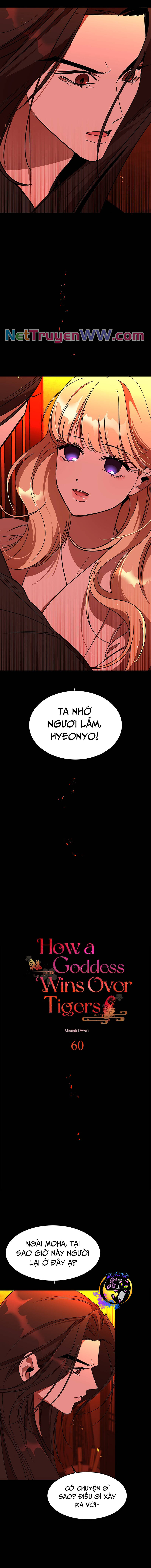 Chiến Lược Săn Hổ Của Nữ Thần Chap 60 - Next Chap 61
