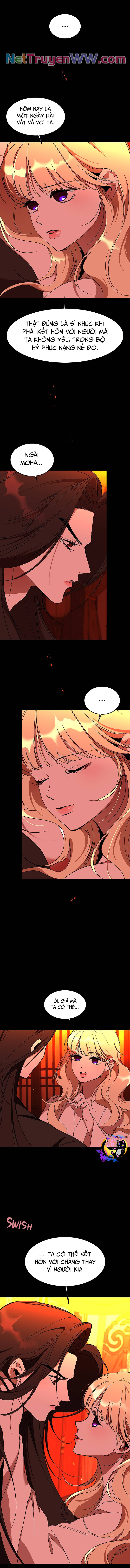Chiến Lược Săn Hổ Của Nữ Thần Chap 60 - Next Chap 61