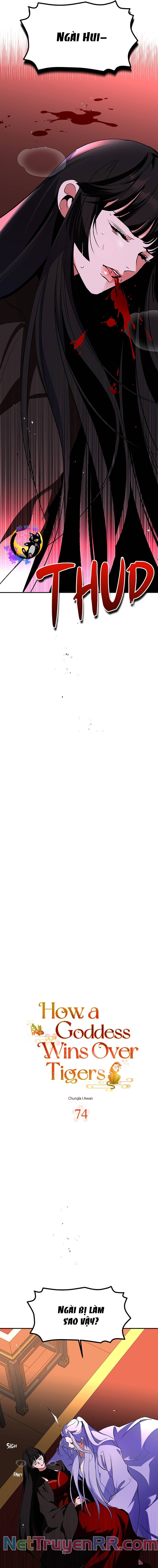 Chiến Lược Săn Hổ Của Nữ Thần Chap 74 - Next Chap 75