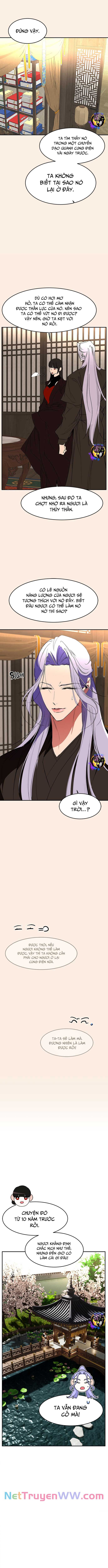 Chiến Lược Săn Hổ Của Nữ Thần Chap 75 - Next Chap 76