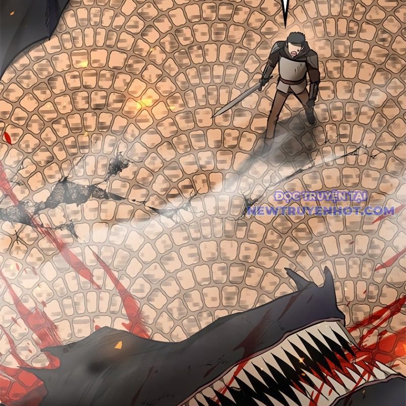 Chinh Phục Hầm Ngục Bằng Sao Chép Và Dán! Chap 21 - Next Chap 22