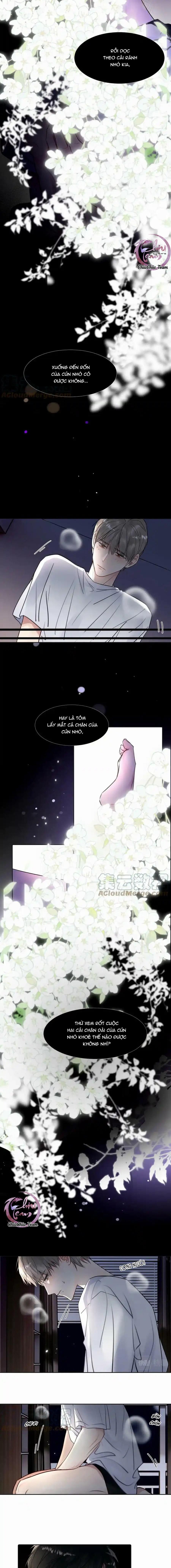 Chó Chuộc Tội Chap 26 - Next Chap 27