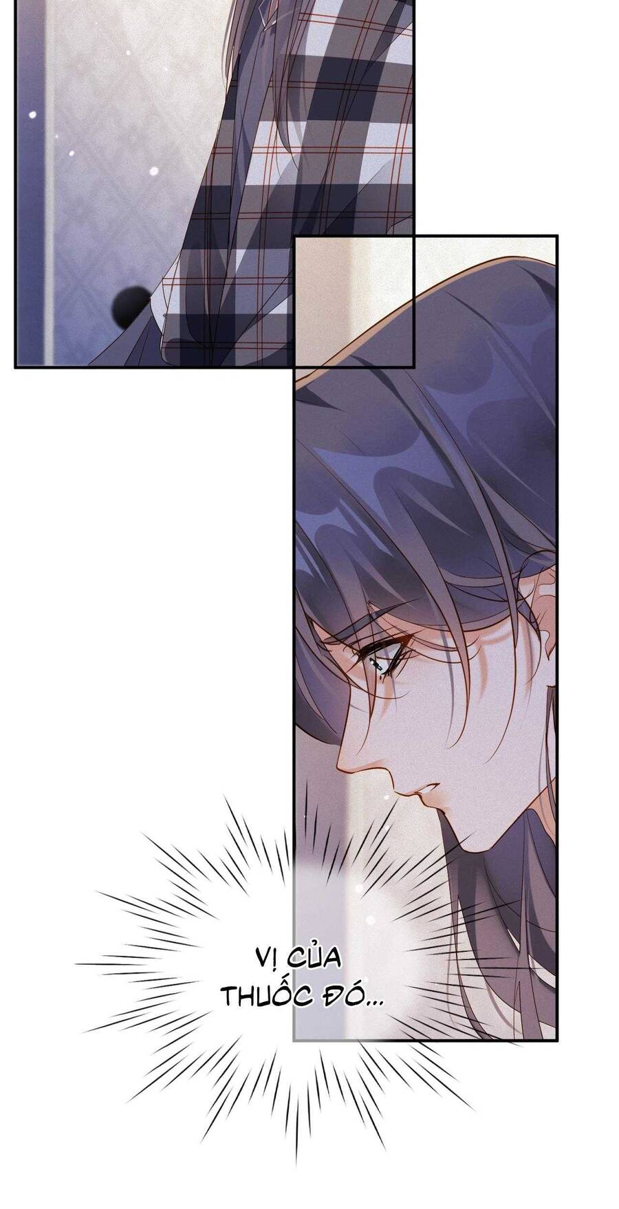 Chồng Cũ Muốn Tái Hôn Lần Nữa Chap 100 - Next Chap 101