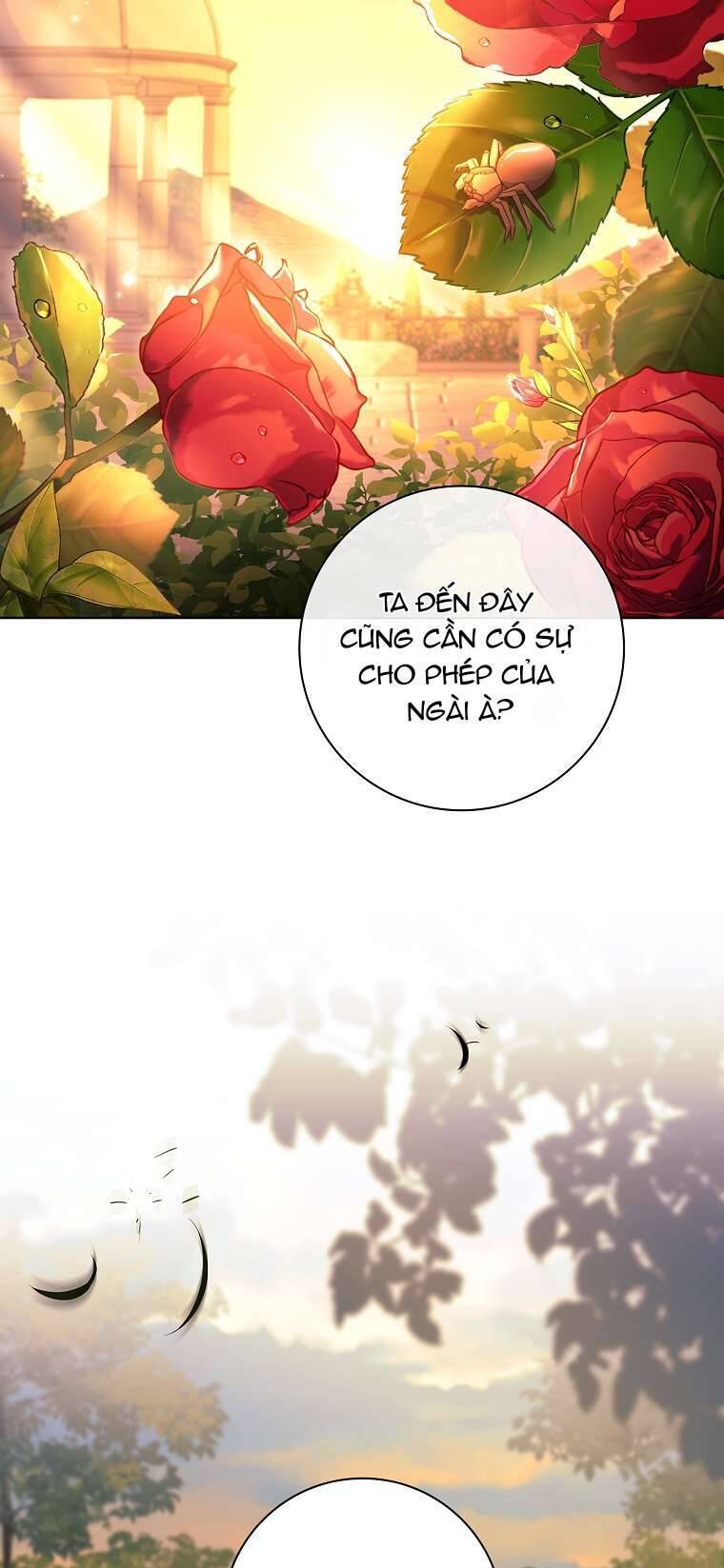 Chồng Ơi, Tại Sao Chúng Ta Không Thể Ly Hôn? Chap 22 - Next Chap 23