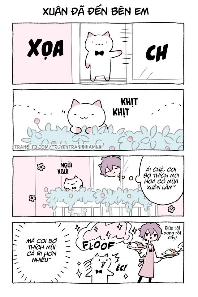 Chú Mèo Kỳ Diệu Kyuu-Chan Chap 314 - Next Chap 315