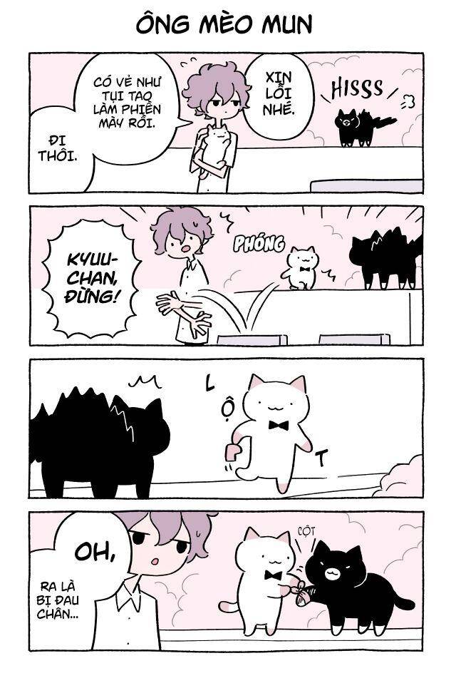 Chú Mèo Kỳ Diệu Kyuu-Chan Chap 404 - Next Chap 405