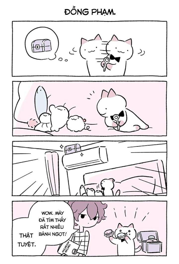 Chú Mèo Kỳ Diệu Kyuu-Chan Chap 673 - Next Chap 674