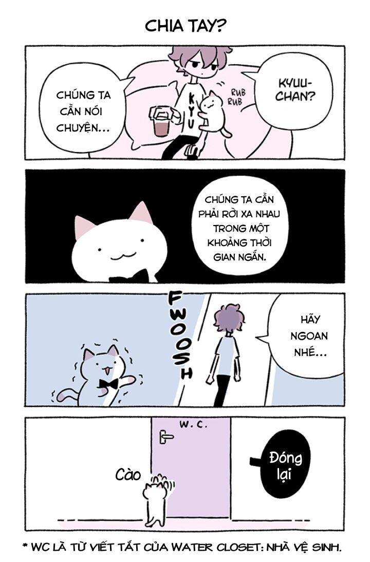 Chú Mèo Kỳ Diệu Kyuu-Chan Chap 708 - Next Chap 709