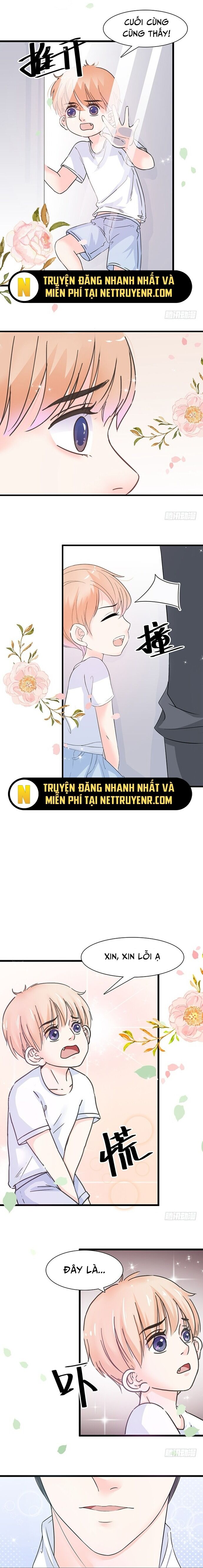 Chu Tiên Sinh, Ép Cưới Phạm Pháp Đó Chap 11 - Next Chap 12