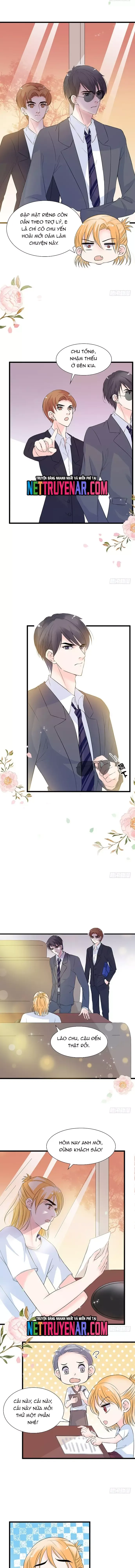 Chu Tiên Sinh, Ép Cưới Phạm Pháp Đó Chap 32 - Next Chap 33