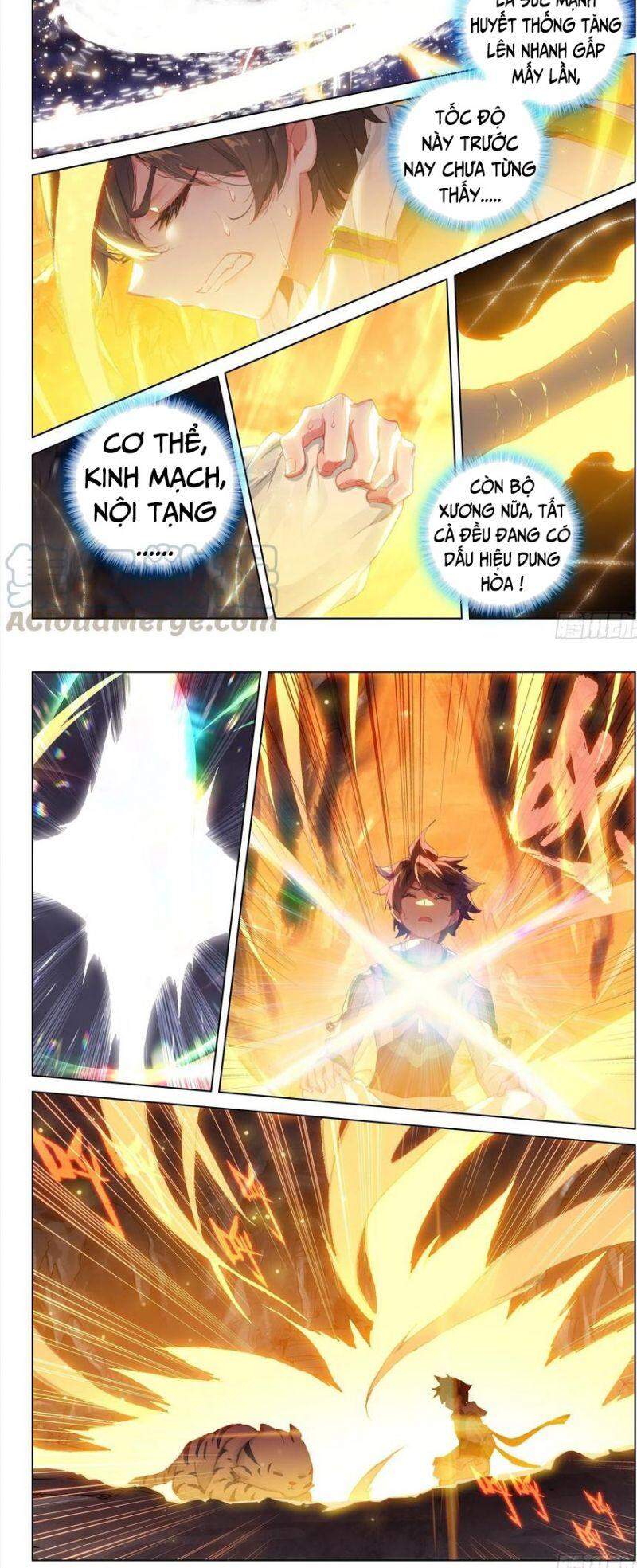 Chung Cực Đấu La Chap 256 - Next Chap 257