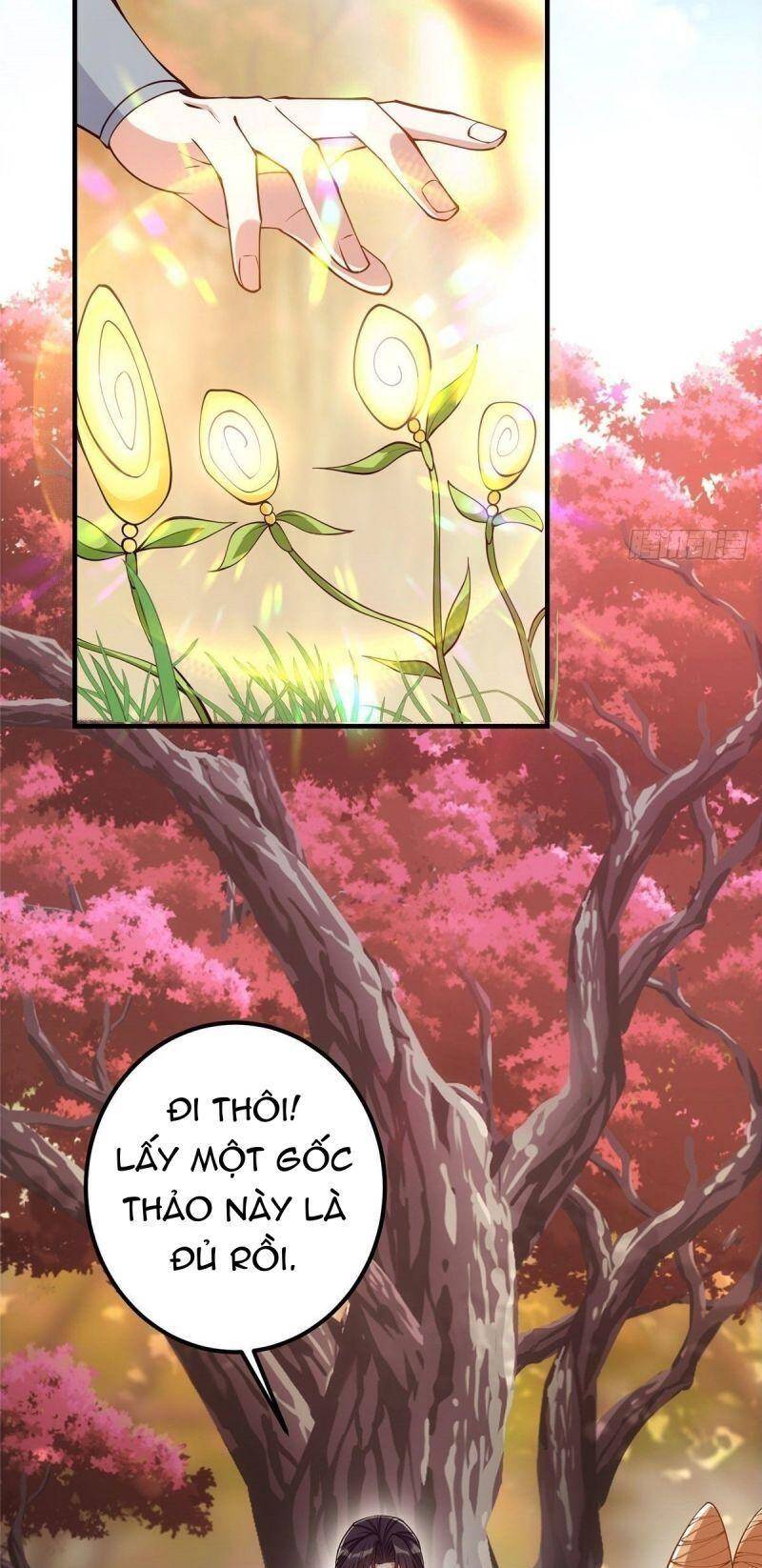 Chưởng Môn Khiêm Tốn Chút Chap 6 - Next Chap 7