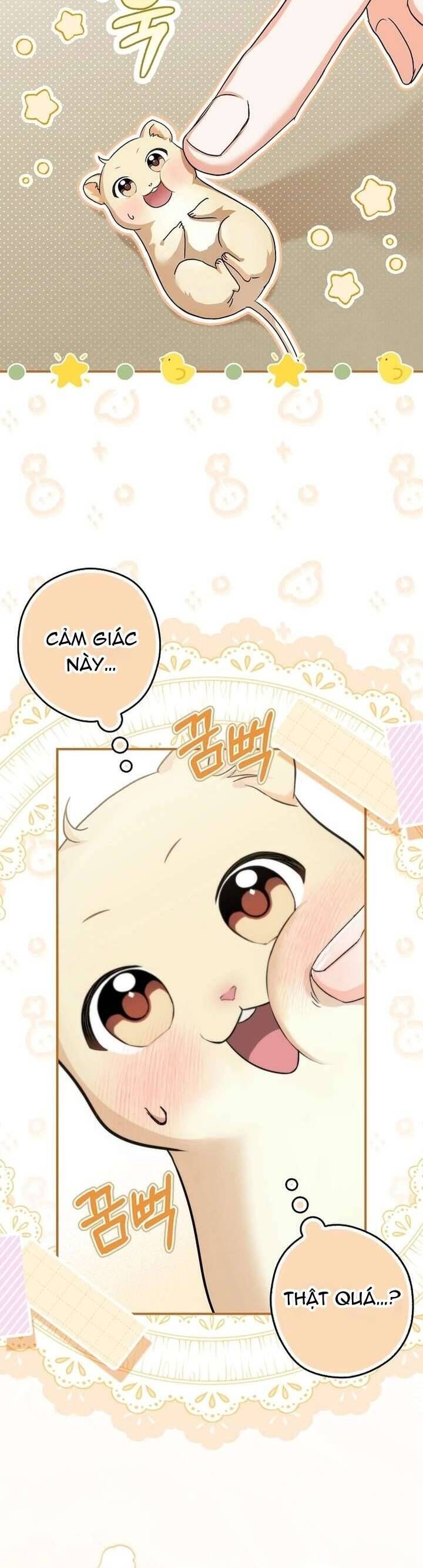 Chuột Đồng Này Sẽ Đưa Lọ Lem Đi Chap 1 - Next Chap 2