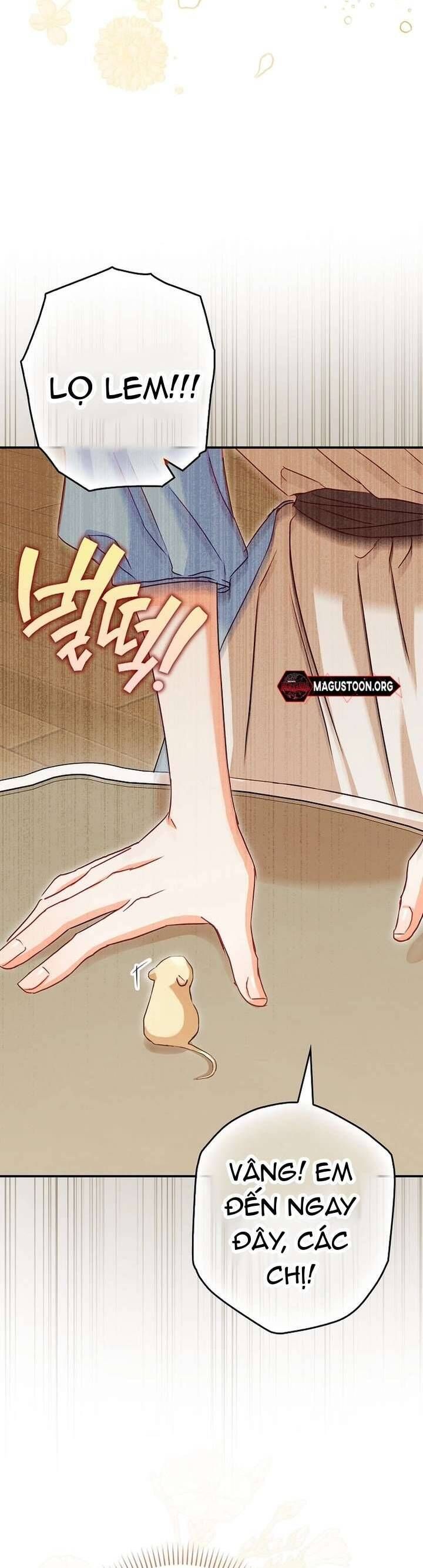 Chuột Đồng Này Sẽ Đưa Lọ Lem Đi Chap 1 - Next Chap 2