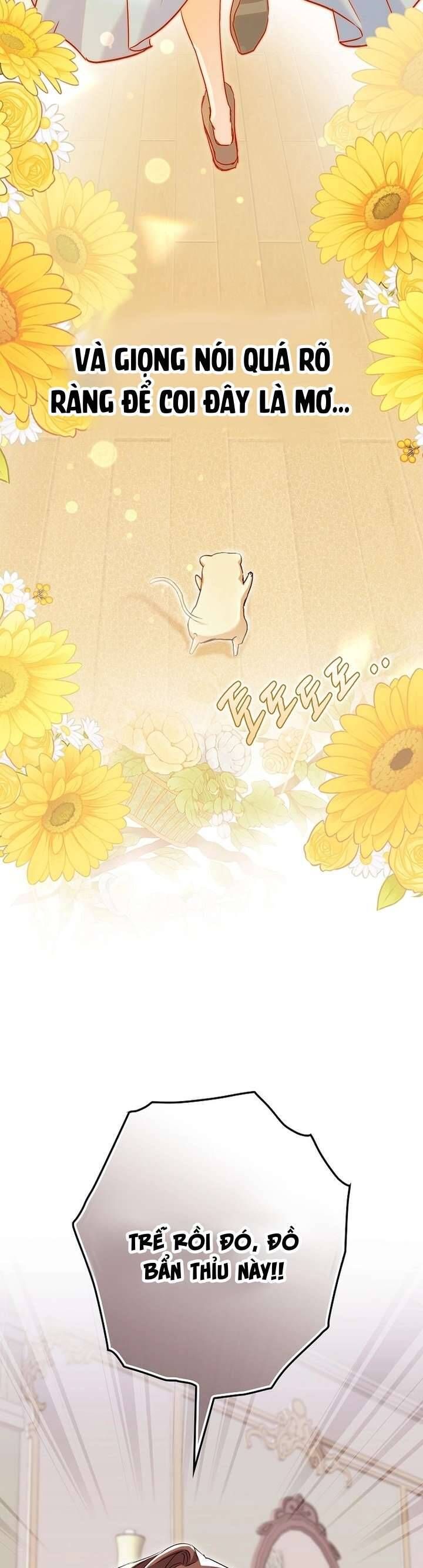 Chuột Đồng Này Sẽ Đưa Lọ Lem Đi Chap 1 - Next Chap 2