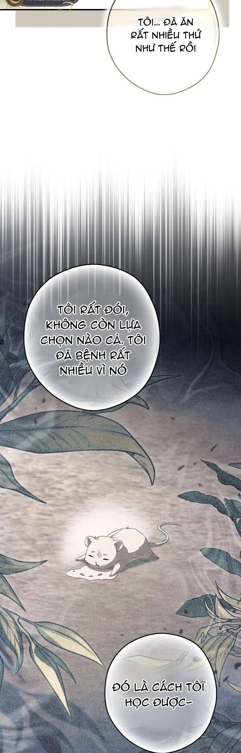Chuột Đồng Này Sẽ Đưa Lọ Lem Đi Chap 11 - Next Chap 12