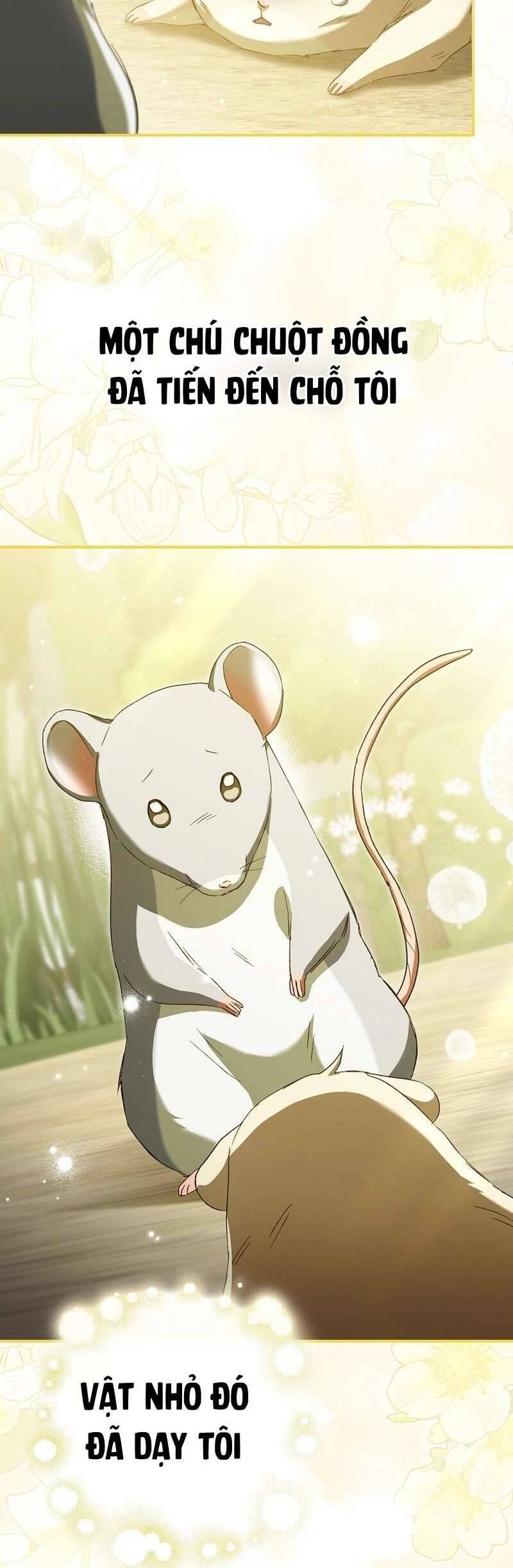 Chuột Đồng Này Sẽ Đưa Lọ Lem Đi Chap 11 - Next Chap 12