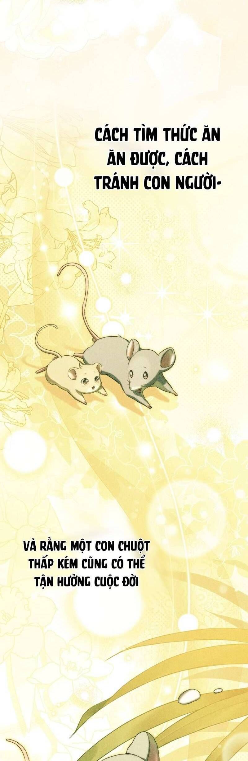 Chuột Đồng Này Sẽ Đưa Lọ Lem Đi Chap 11 - Next Chap 12