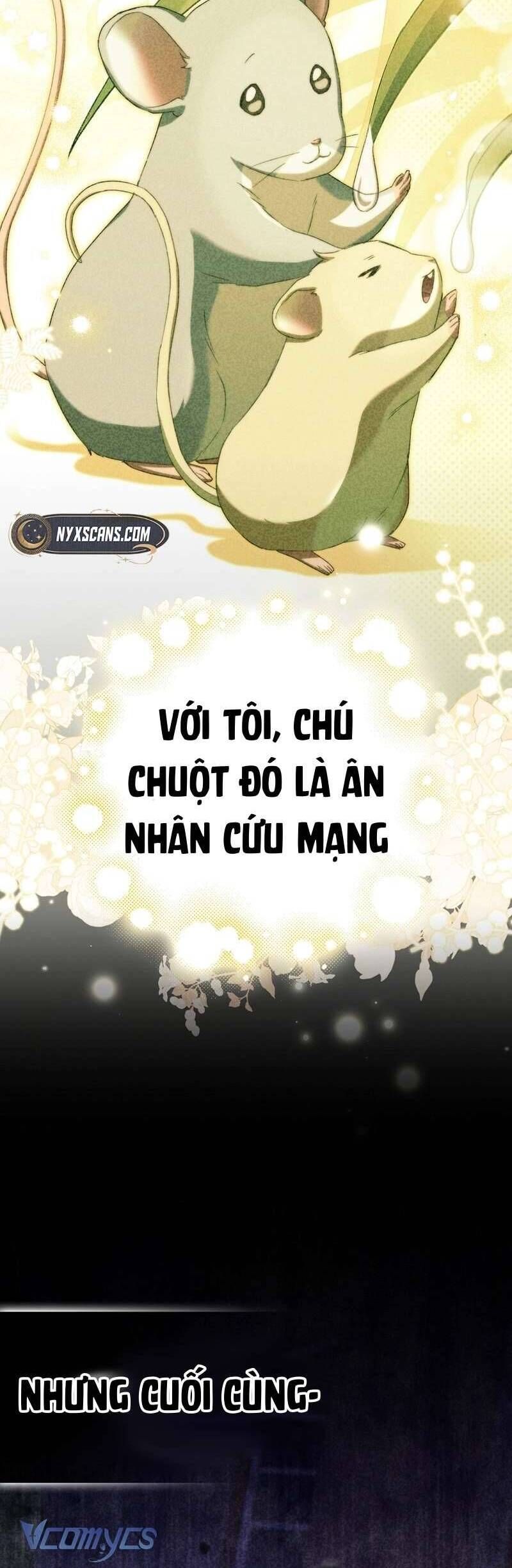 Chuột Đồng Này Sẽ Đưa Lọ Lem Đi Chap 11 - Next Chap 12