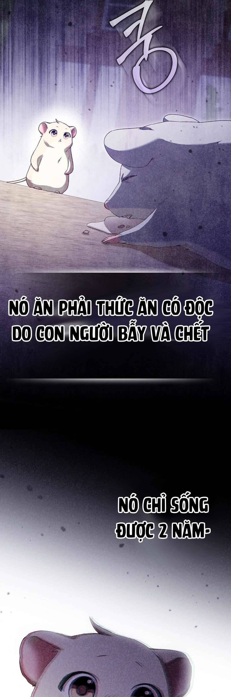 Chuột Đồng Này Sẽ Đưa Lọ Lem Đi Chap 11 - Next Chap 12