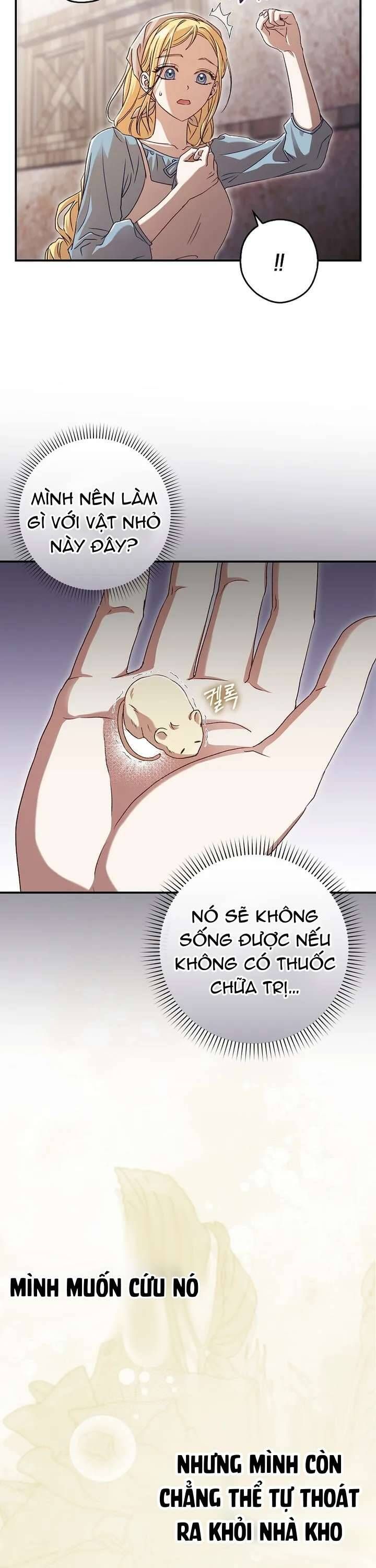 Chuột Đồng Này Sẽ Đưa Lọ Lem Đi Chap 2 - Next Chap 3