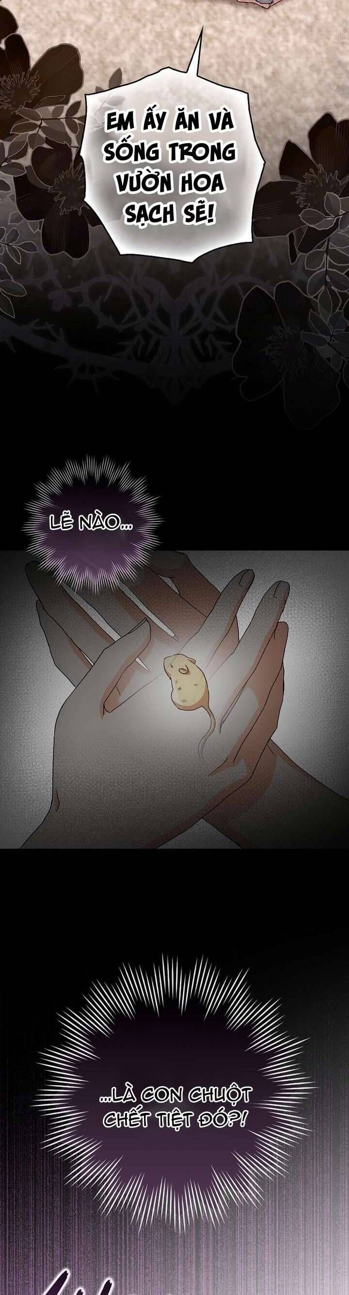 Chuột Đồng Này Sẽ Đưa Lọ Lem Đi Chap 3 - Next Chap 4