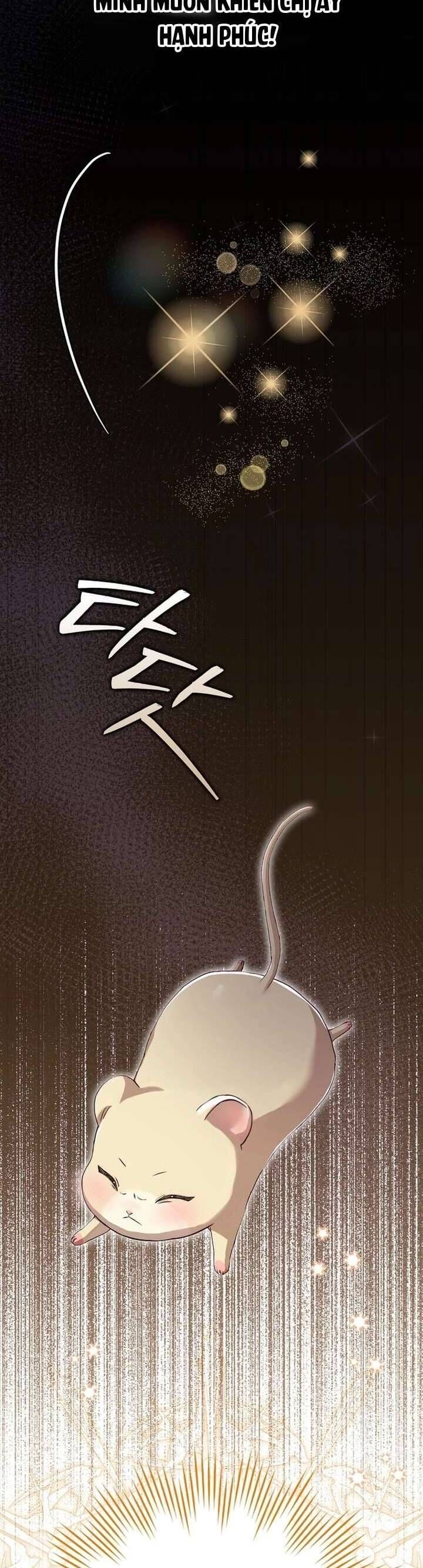 Chuột Đồng Này Sẽ Đưa Lọ Lem Đi Chap 3 - Next Chap 4