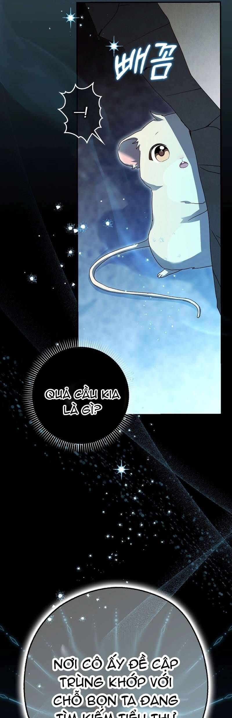 Chuột Đồng Này Sẽ Đưa Lọ Lem Đi Chap 4 - Next Chap 5