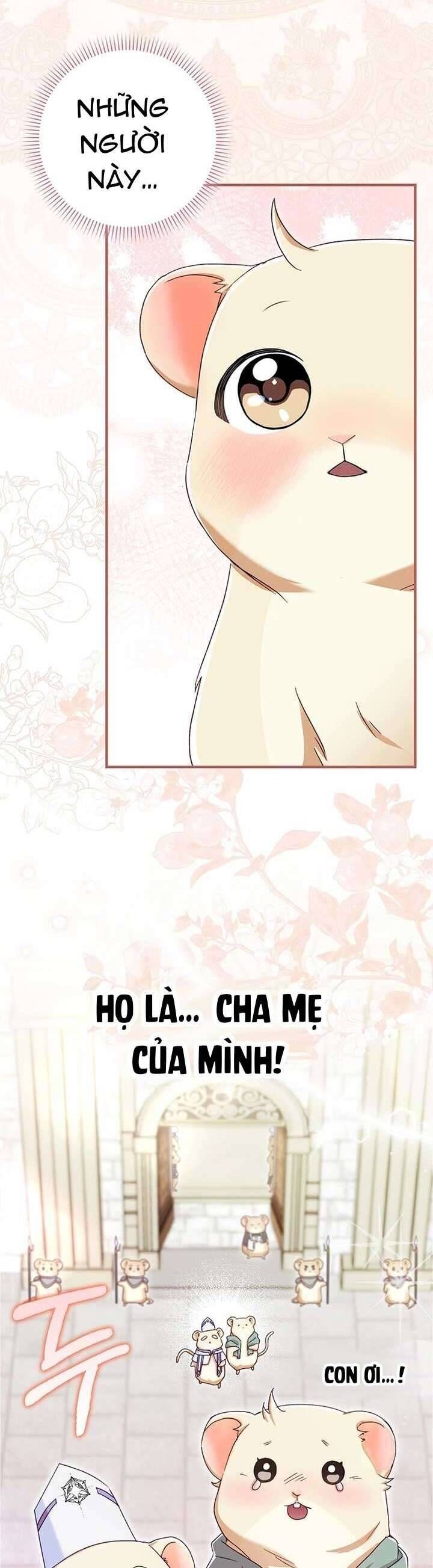 Chuột Đồng Này Sẽ Đưa Lọ Lem Đi Chap 6 - Next Chap 7